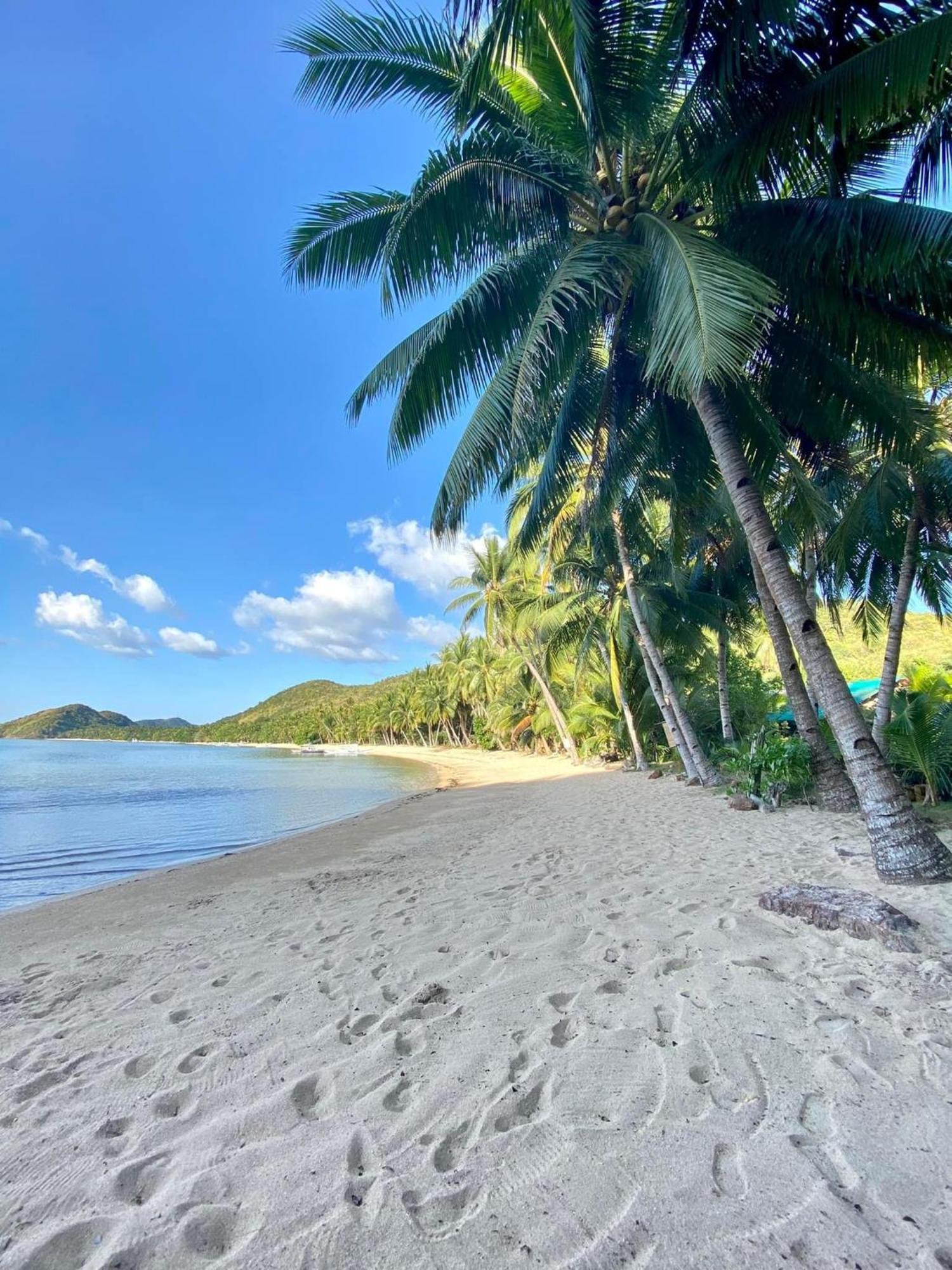 Ocamocam Beach Nature Resort New Busuanga Екстер'єр фото
