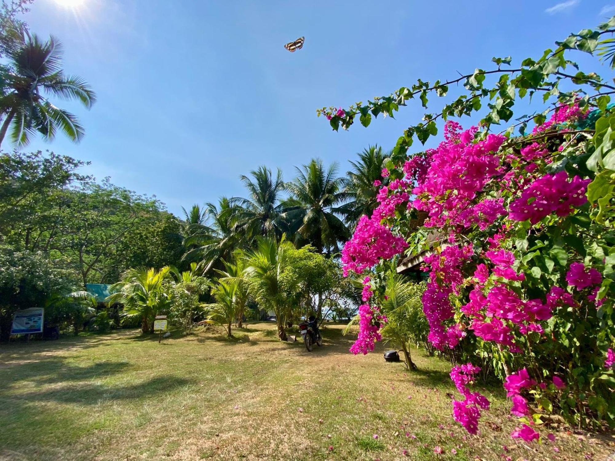 Ocamocam Beach Nature Resort New Busuanga Екстер'єр фото