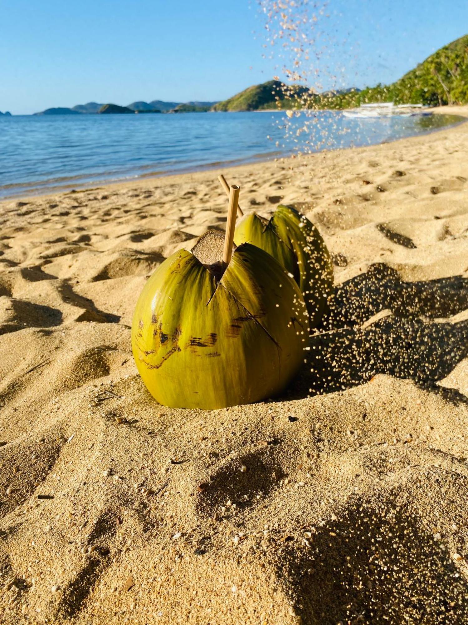 Ocamocam Beach Nature Resort New Busuanga Екстер'єр фото