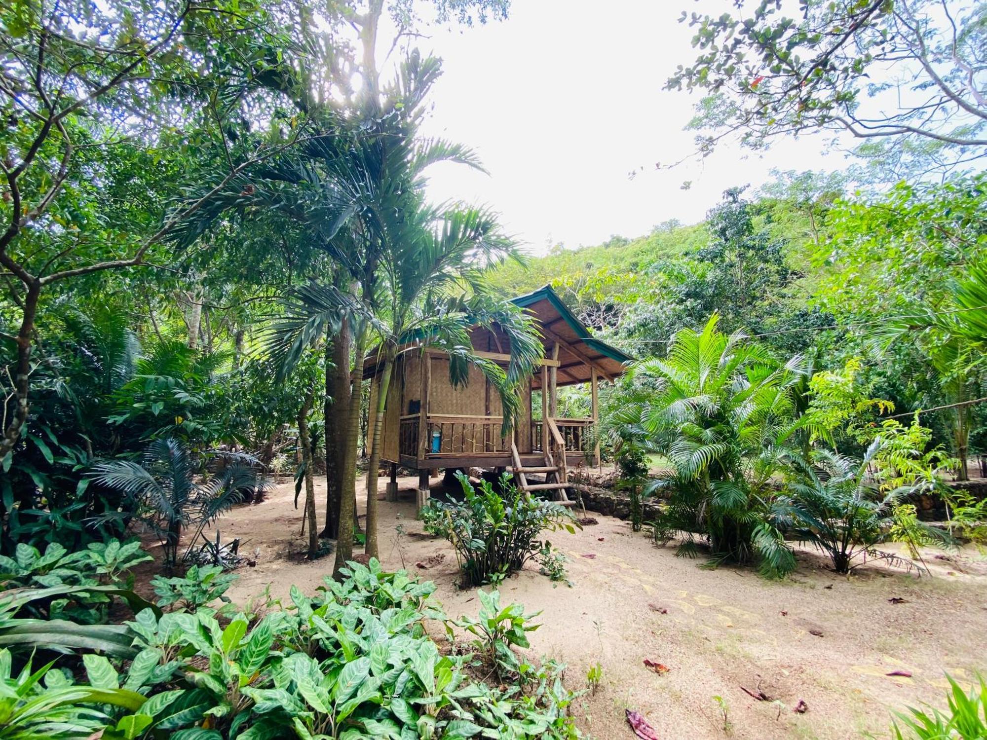 Ocamocam Beach Nature Resort New Busuanga Екстер'єр фото